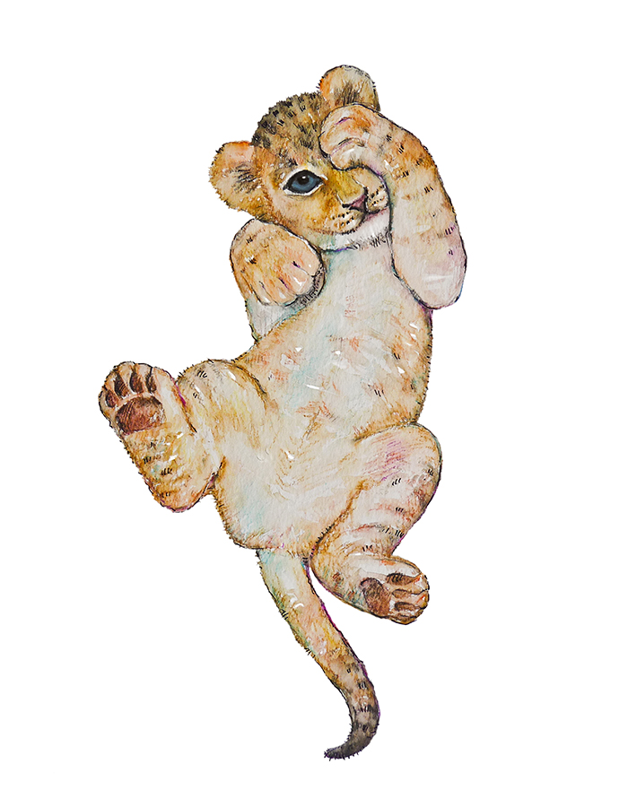 SABANNA-LION