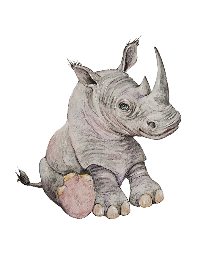 SABANNA-RHINO