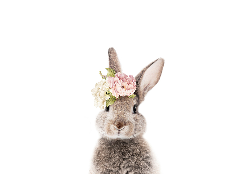 BUNNY-FLOWERS-2